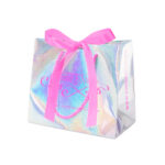 Shiny Holo Bag