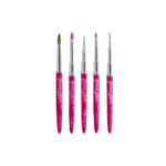 Brush Starter Collection